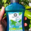 Babı Şifa Mentollü Ağız Bakım Suyu 290 mL
