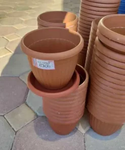 0 No Plastik Saksı 13 cm x 14 cm 1 L