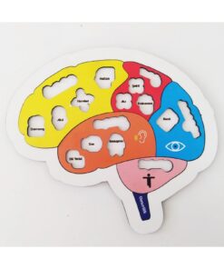 Moonbeavers Beynimi Öğreniyorum Eğitici Öğretici Geliştirici Ahşap Sağlıklı Oyuncak