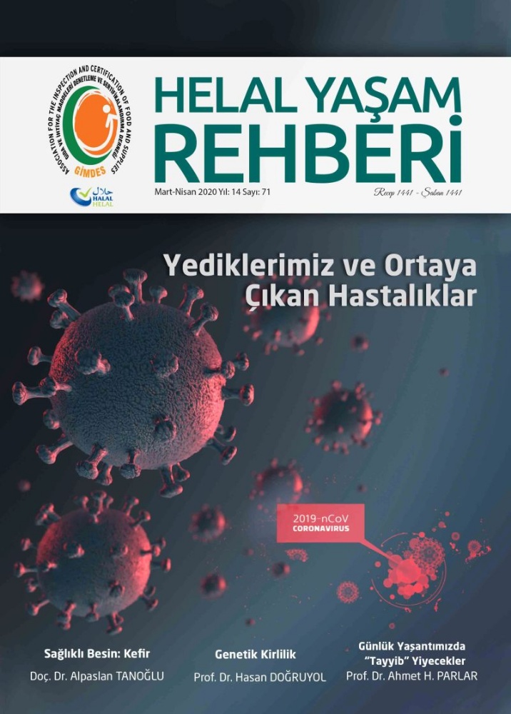 E-Dergi Helal Yaşam Rehberi 71. Sayısı (PDF)