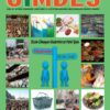 E-Dergi Helal Yaşam Rehberi 19. Sayısı (PDF)