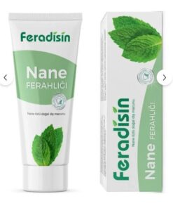 Feradisin Diş Macunu Nane Ferahlığı 90 g